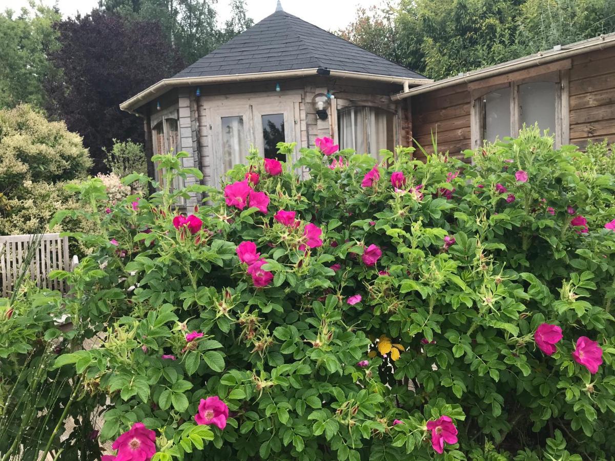Le Jardin Sauvage Bed & Breakfast Maintenay Eksteriør bilde