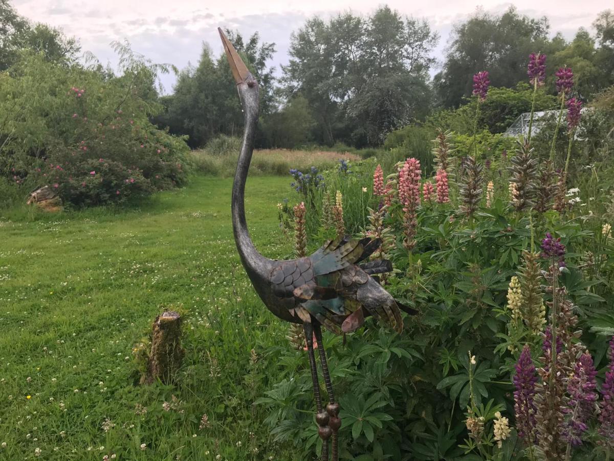 Le Jardin Sauvage Bed & Breakfast Maintenay Eksteriør bilde