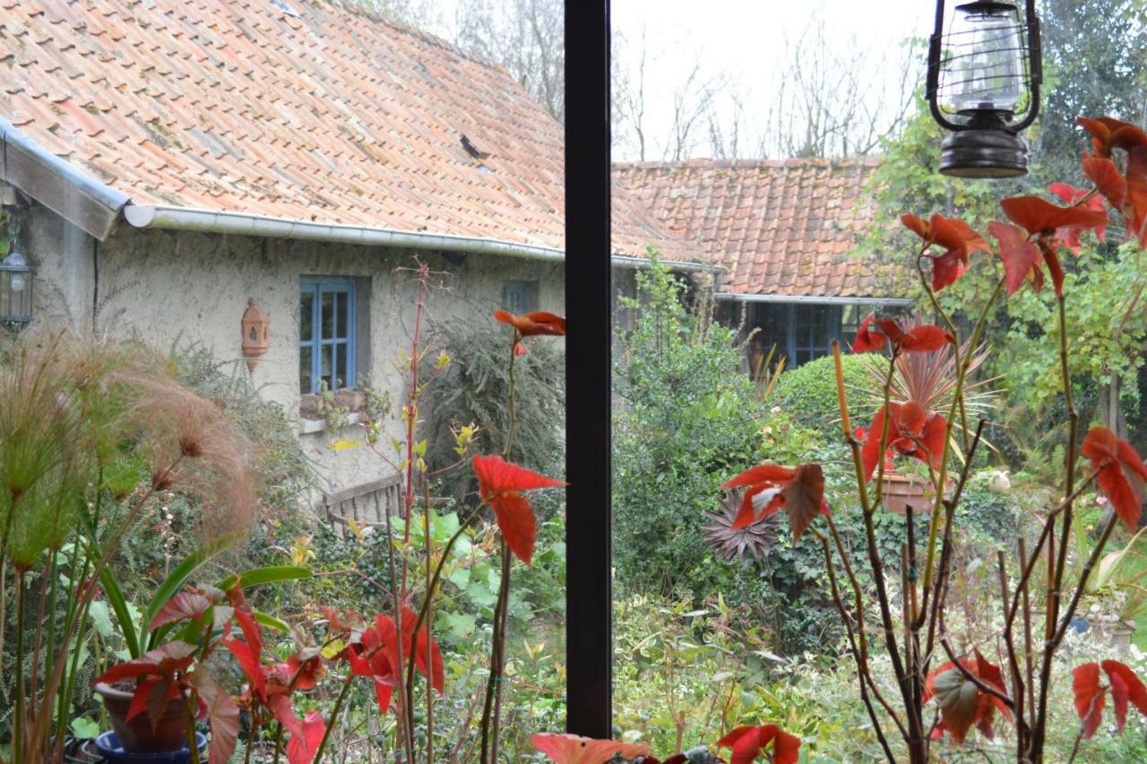 Le Jardin Sauvage Bed & Breakfast Maintenay Eksteriør bilde