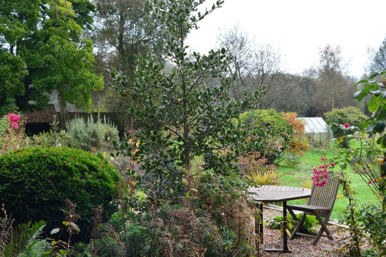 Le Jardin Sauvage Bed & Breakfast Maintenay Eksteriør bilde