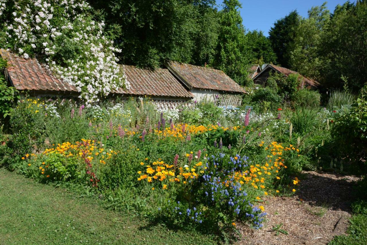 Le Jardin Sauvage Bed & Breakfast Maintenay Eksteriør bilde