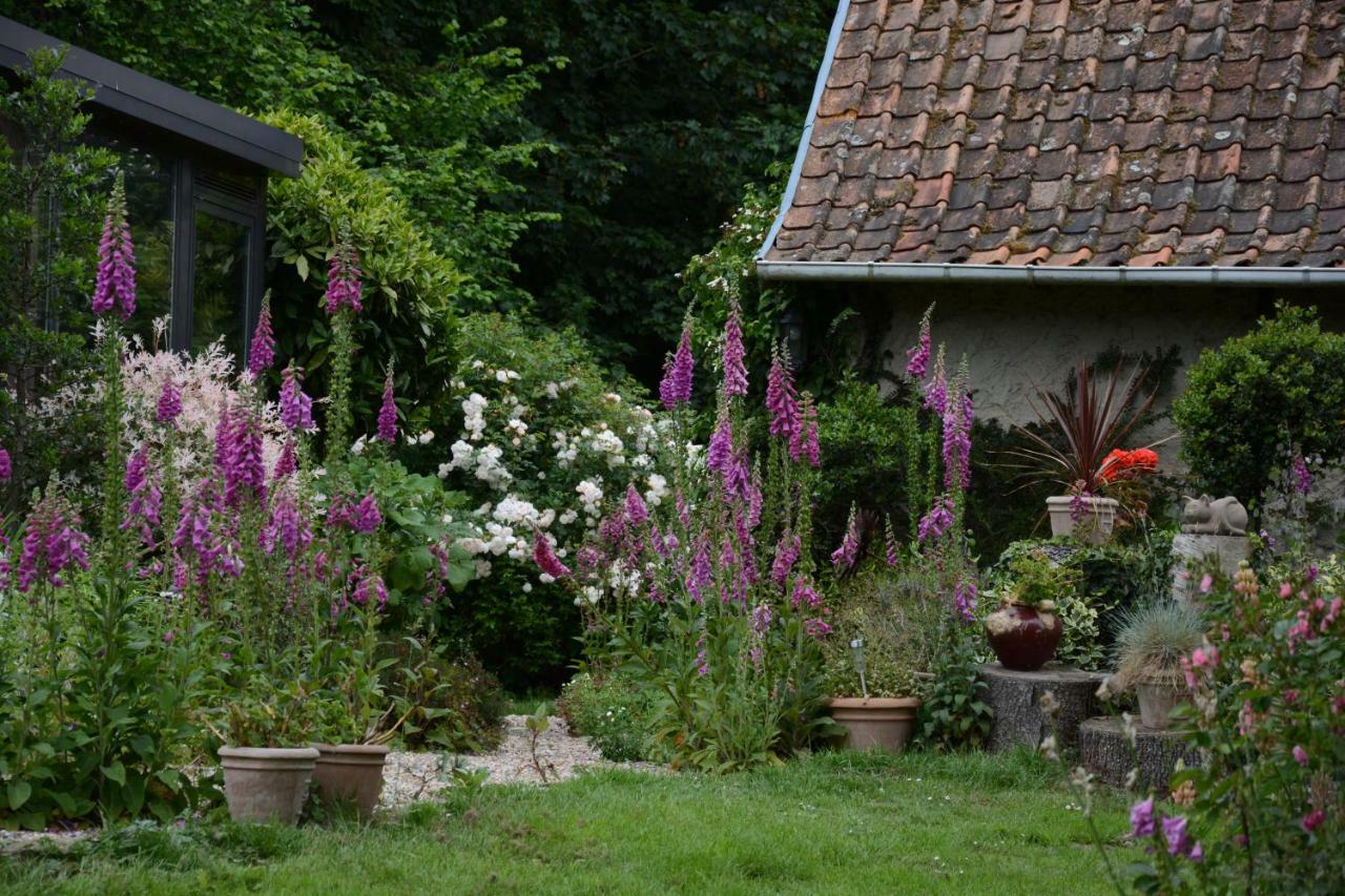 Le Jardin Sauvage Bed & Breakfast Maintenay Eksteriør bilde