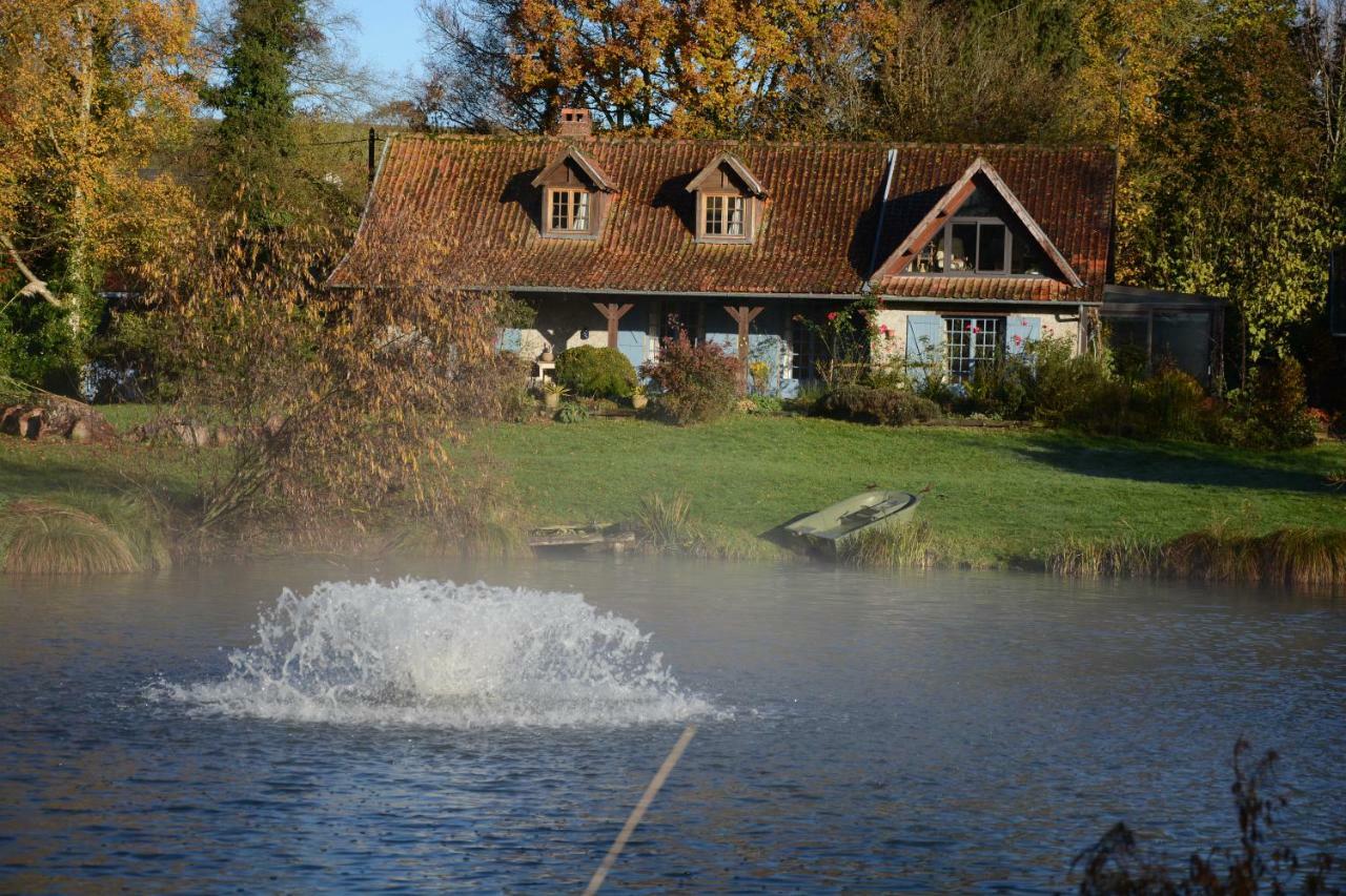 Le Jardin Sauvage Bed & Breakfast Maintenay Eksteriør bilde