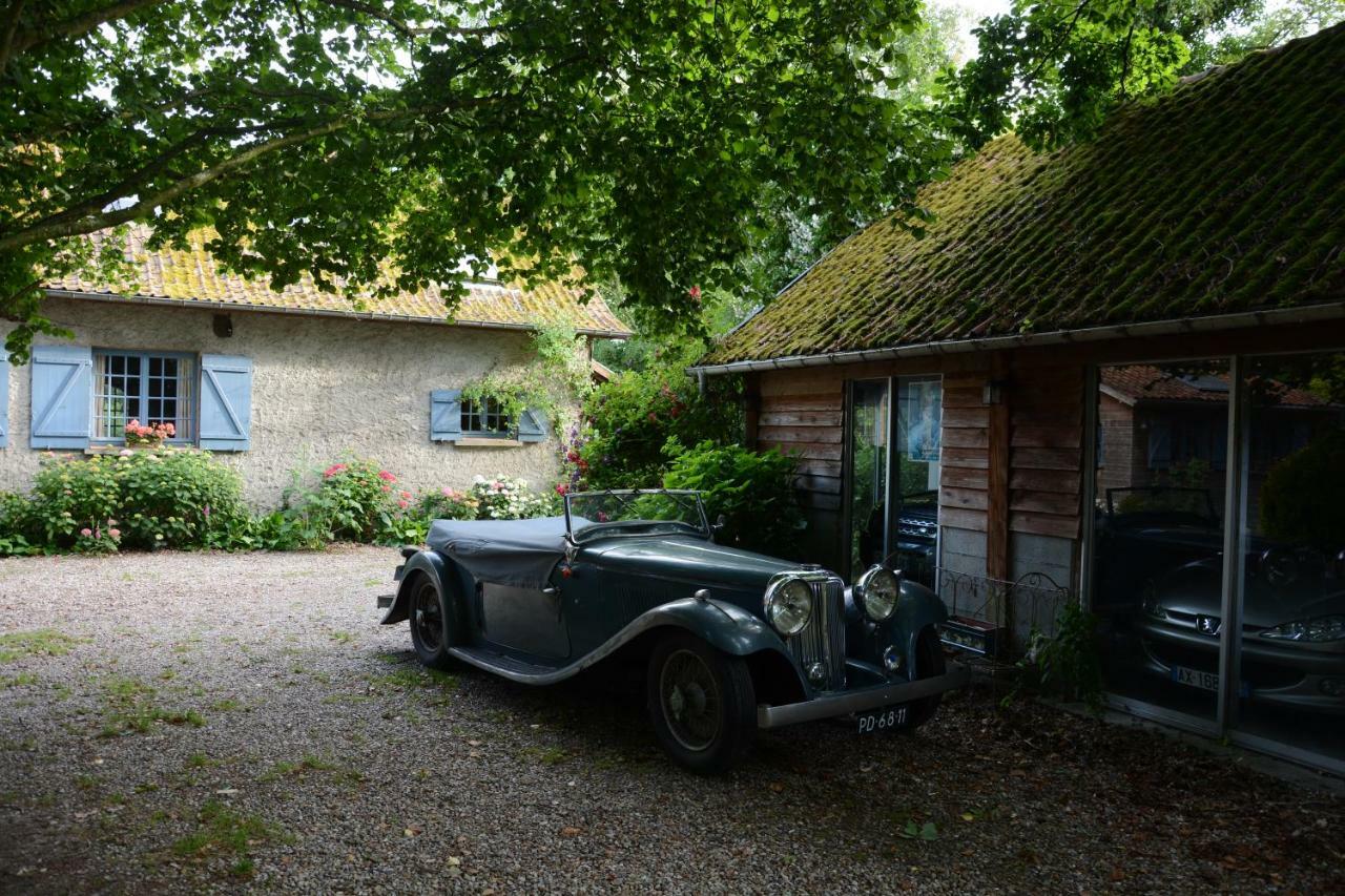 Le Jardin Sauvage Bed & Breakfast Maintenay Eksteriør bilde