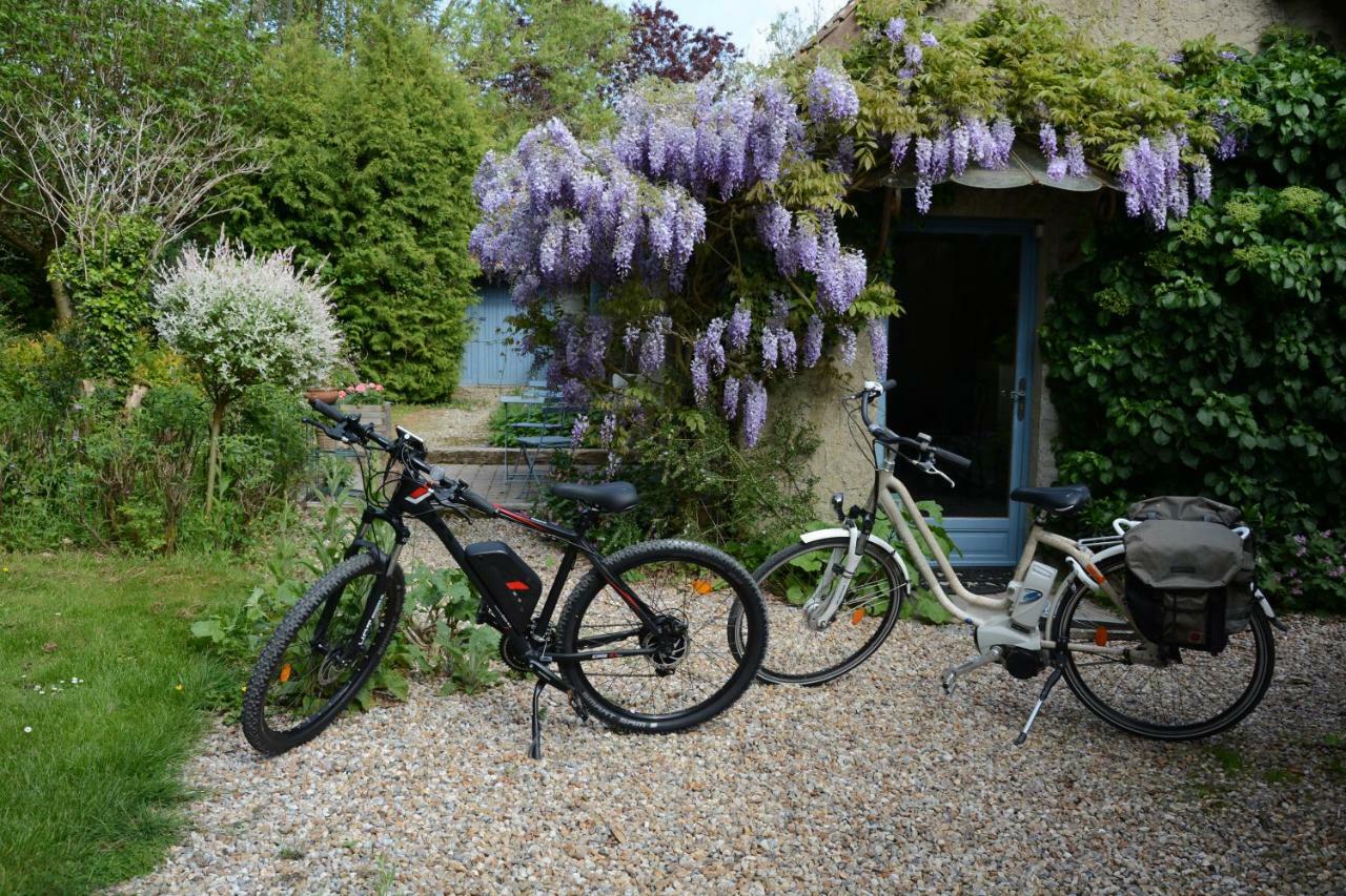 Le Jardin Sauvage Bed & Breakfast Maintenay Eksteriør bilde