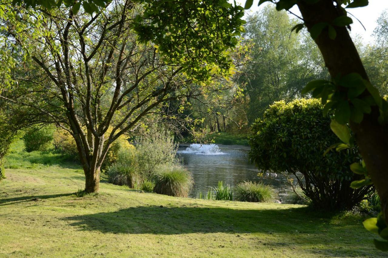 Le Jardin Sauvage Bed & Breakfast Maintenay Eksteriør bilde